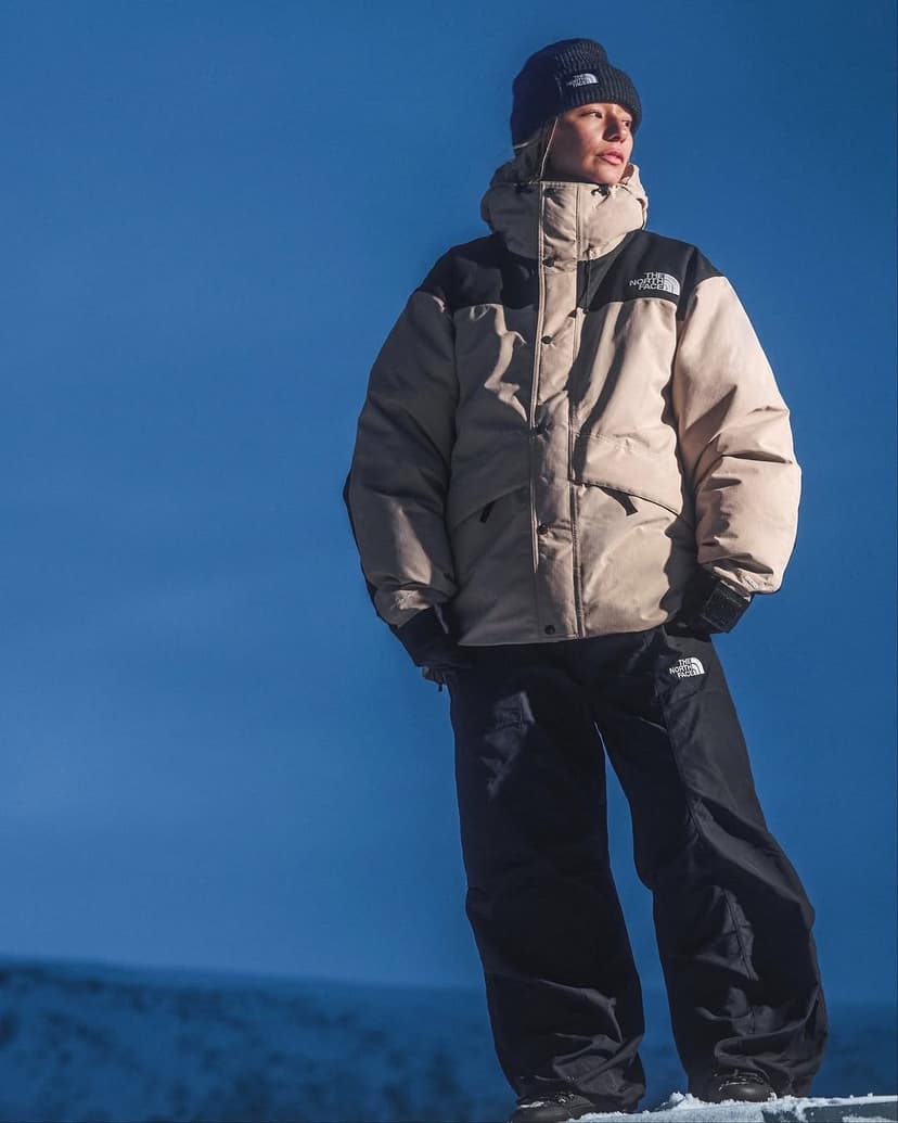 THE NORTH FACE brand image