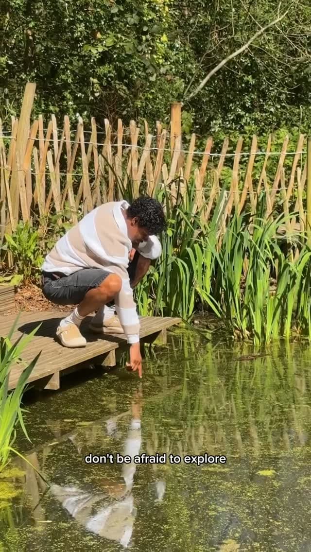 Instagram image