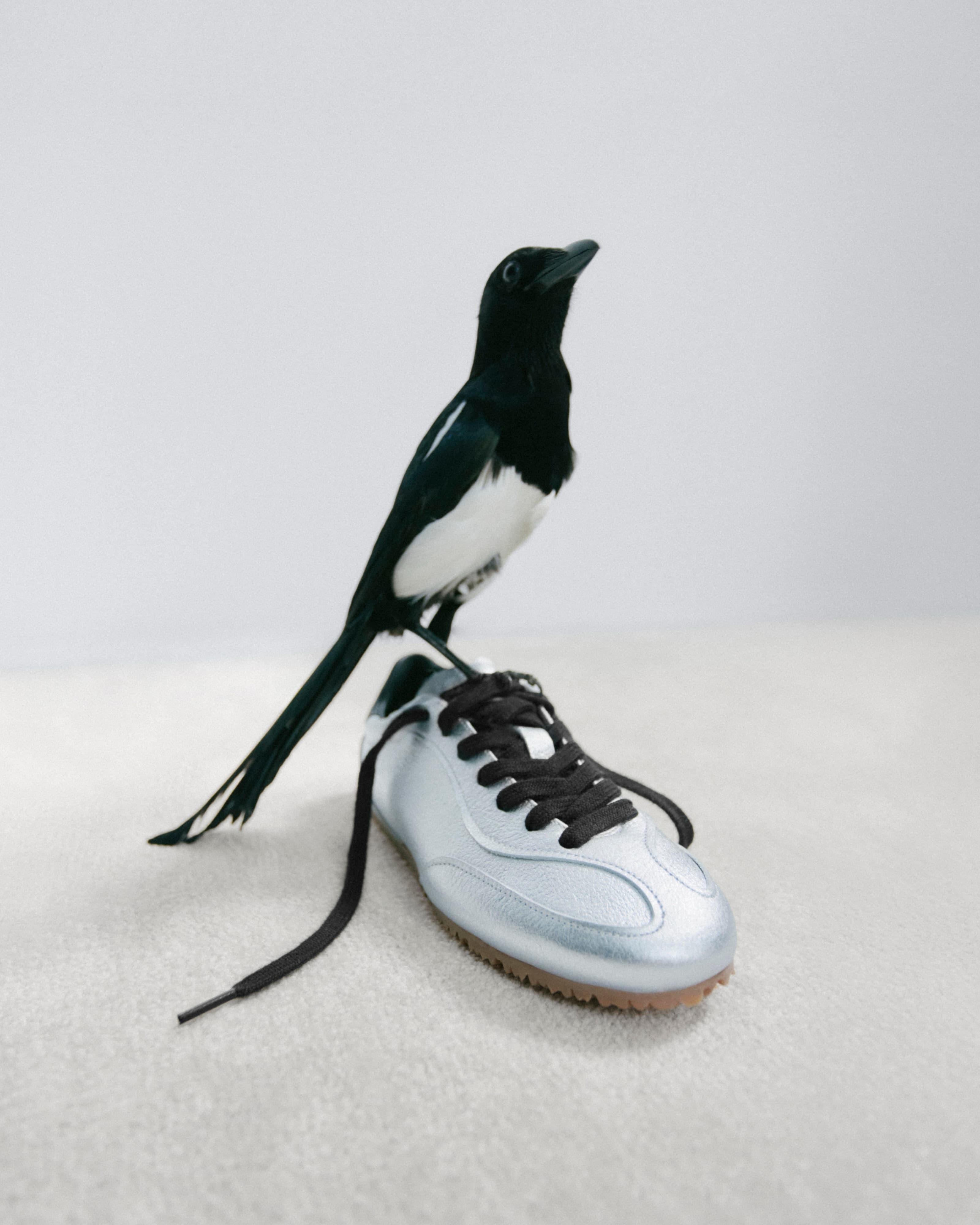Instagram image