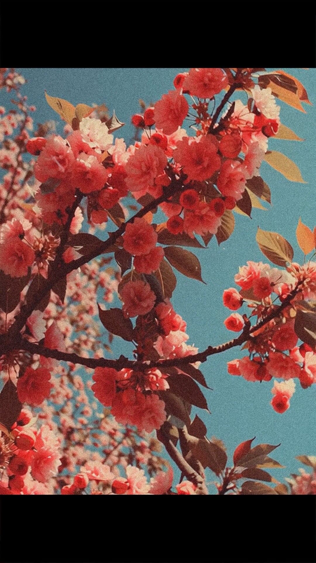 Instagram image