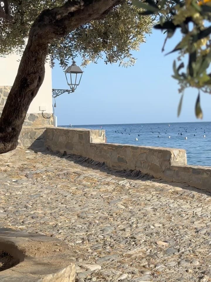 Instagram image