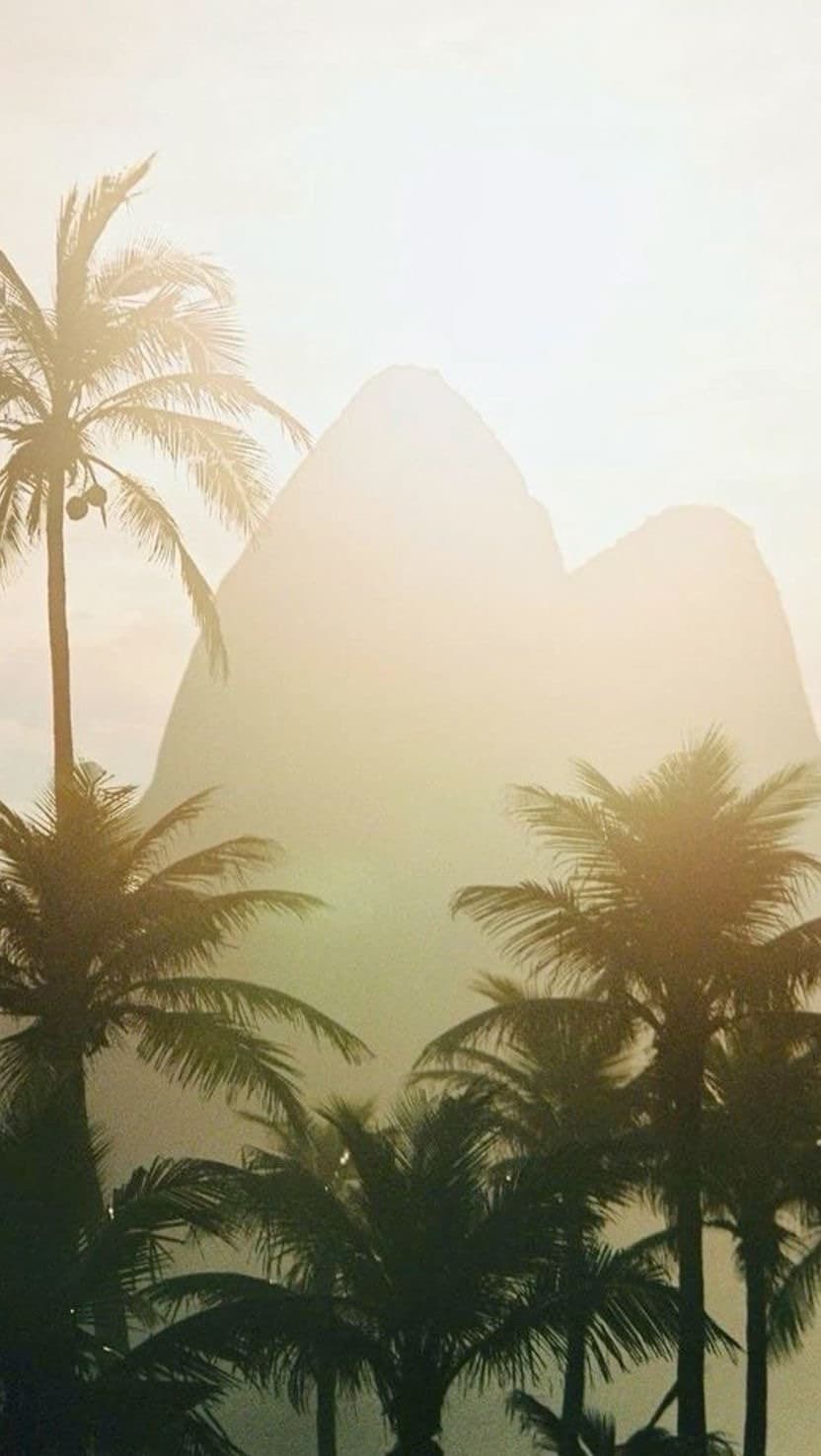 Instagram image