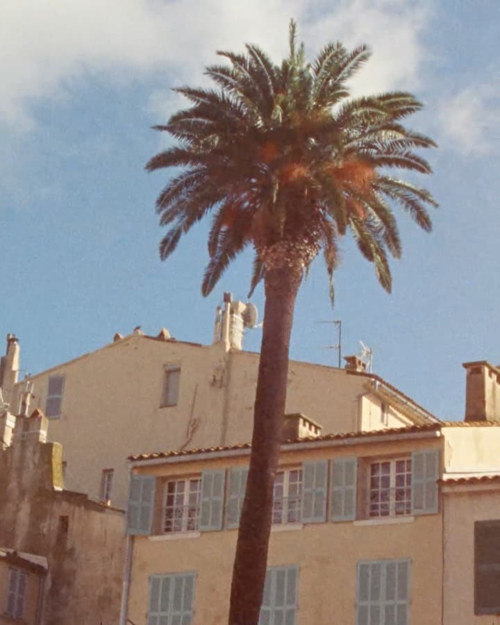 Instagram image
