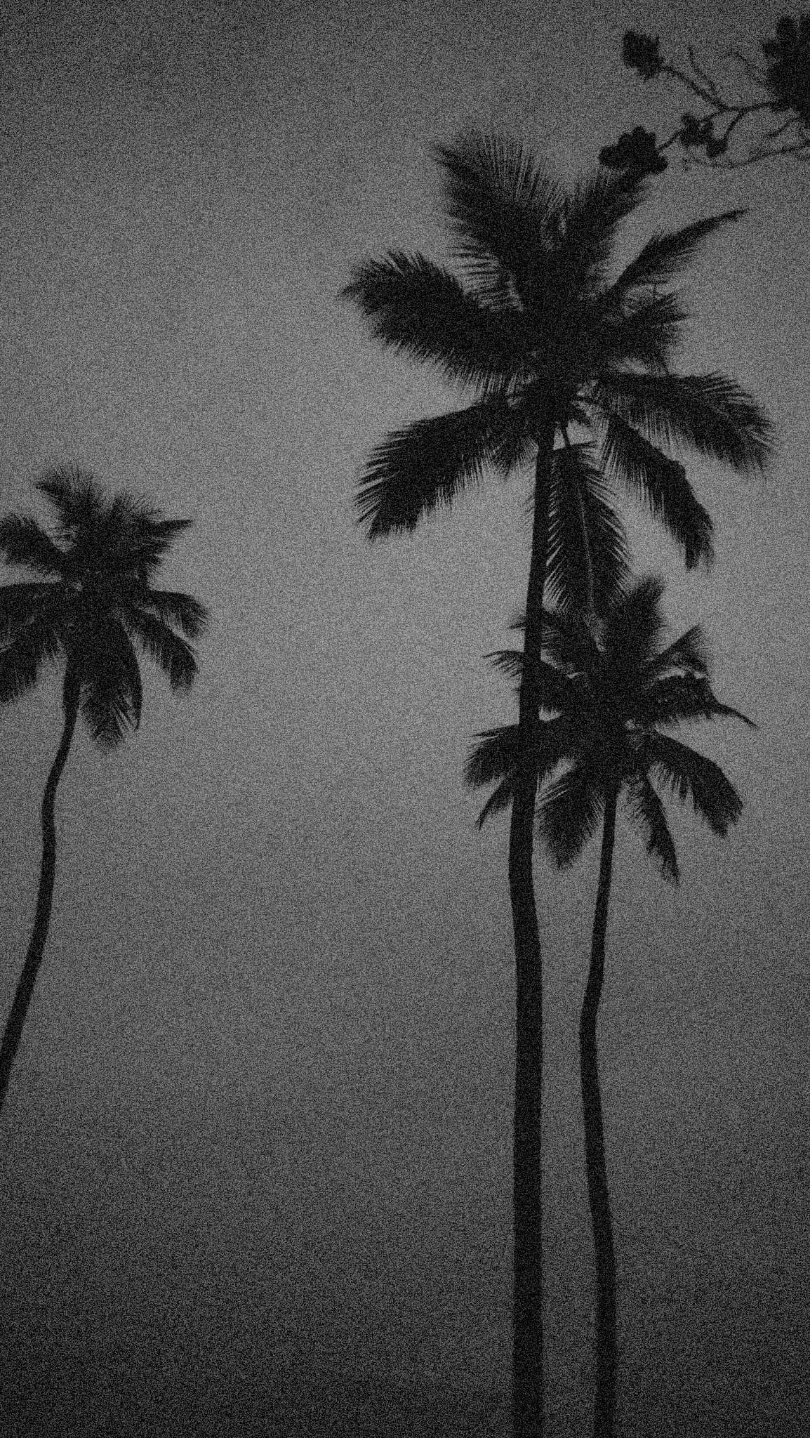 Instagram image