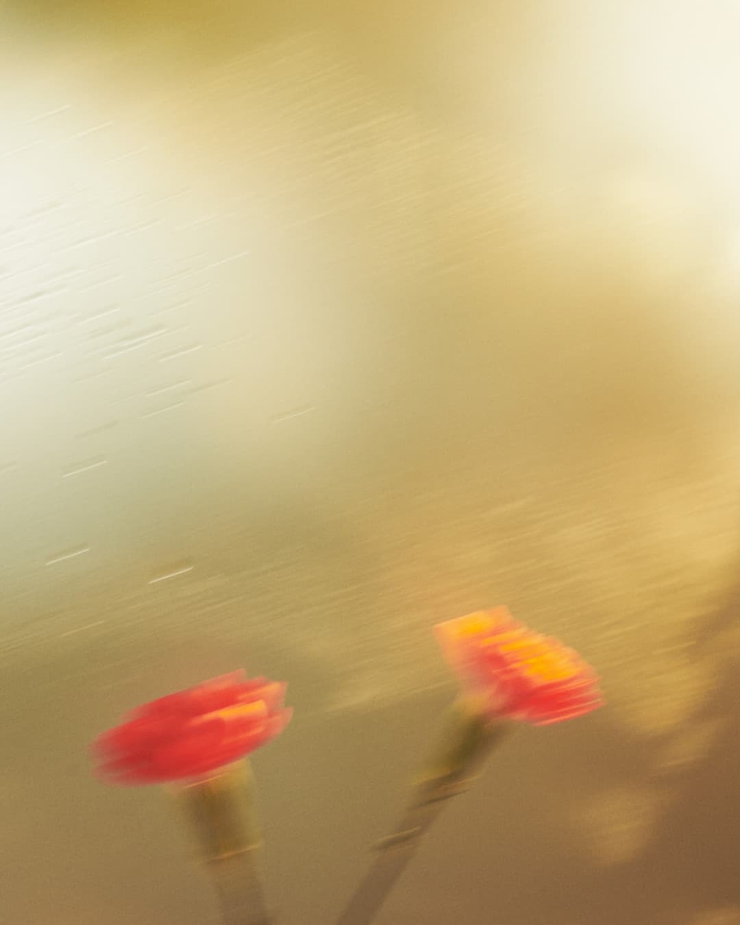 Instagram image