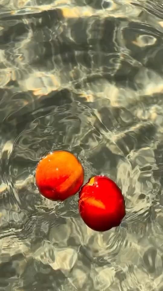 Instagram image