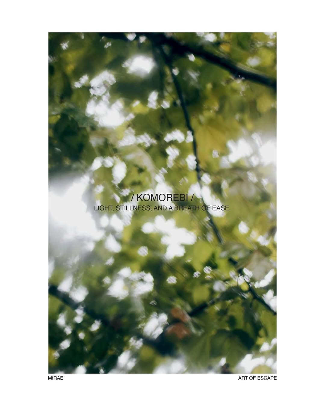 Instagram image