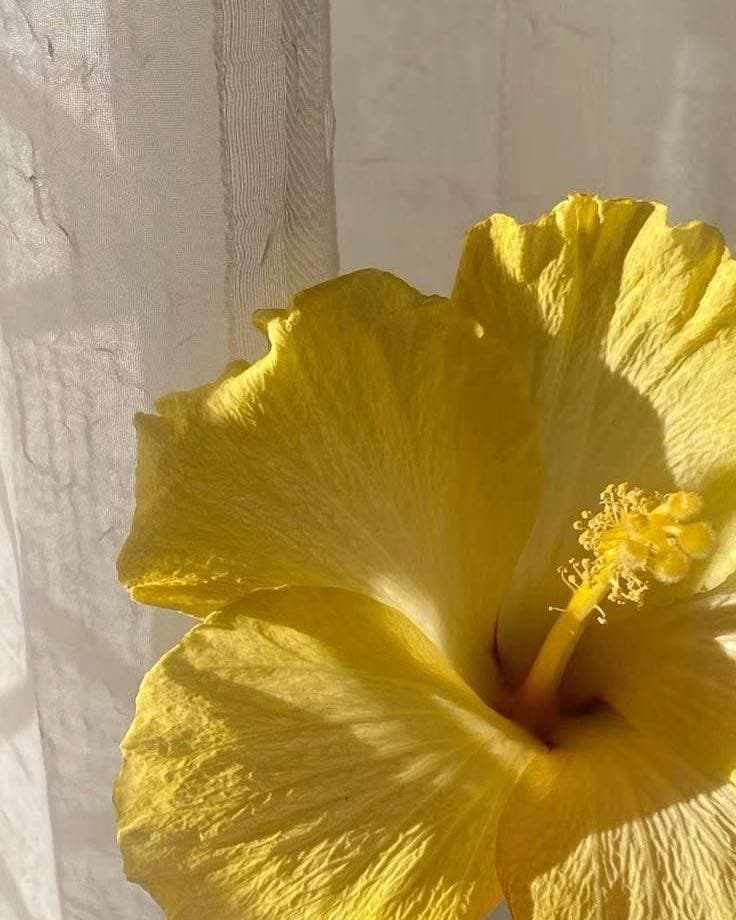 Instagram image