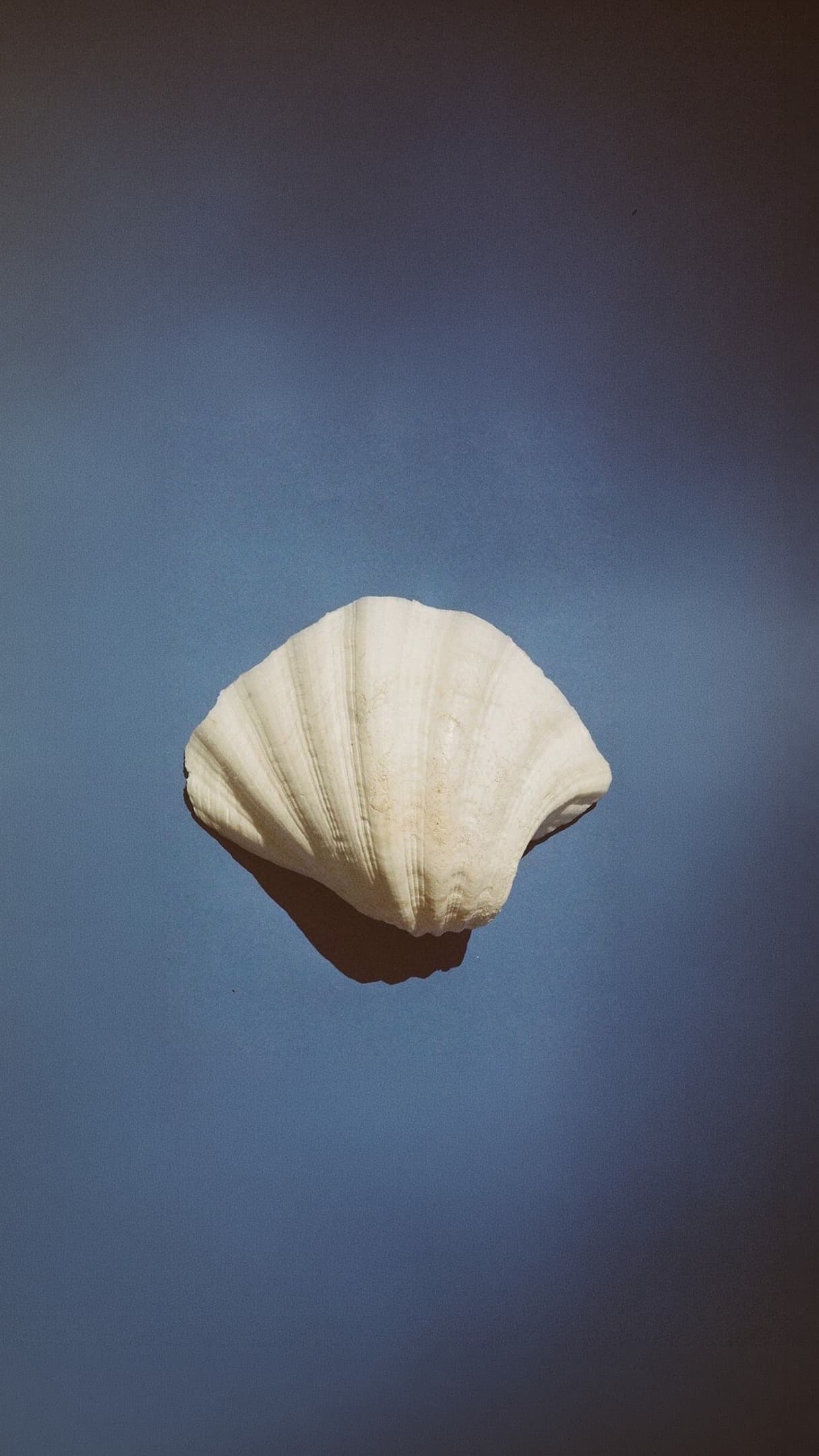 Instagram image