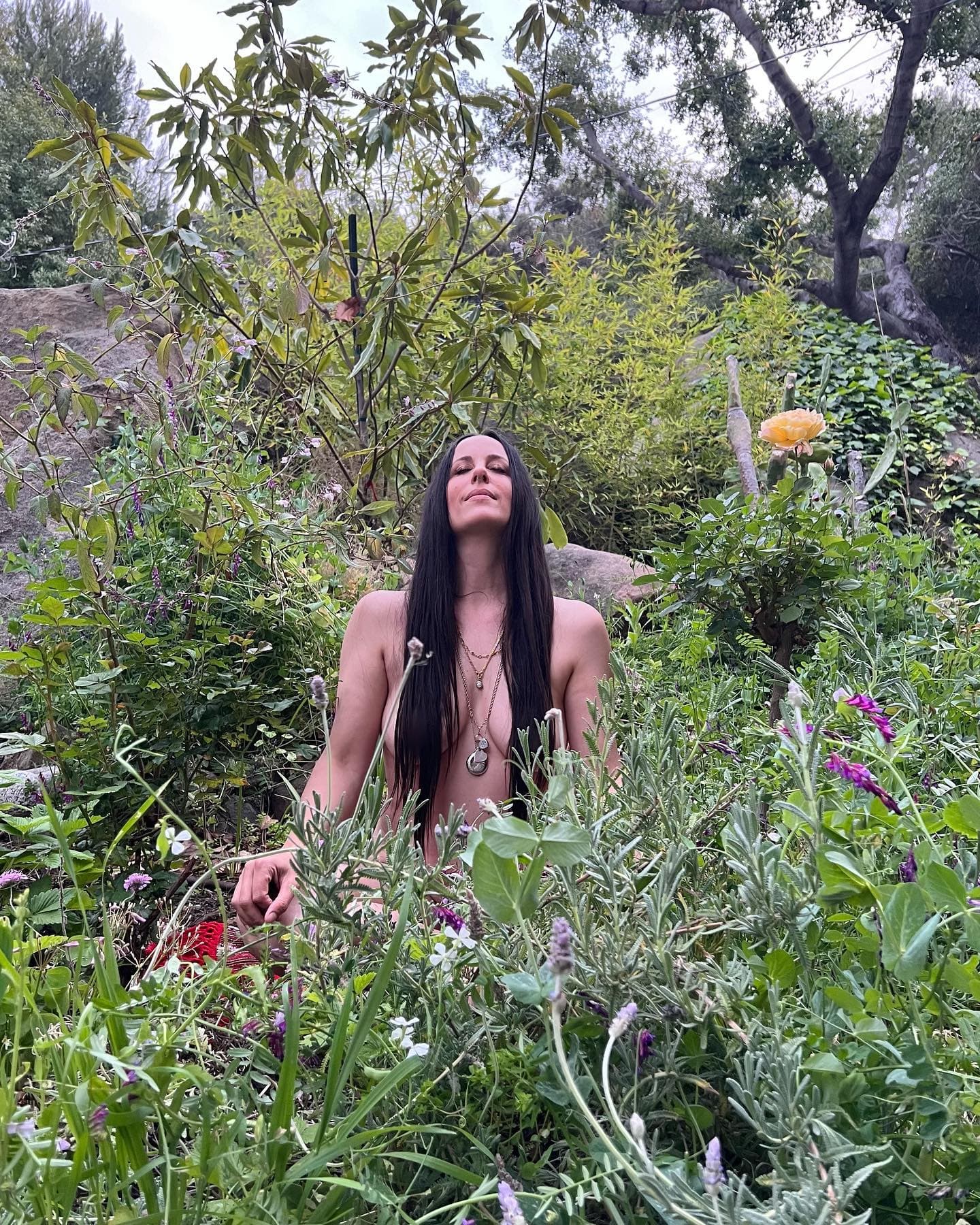 Instagram image