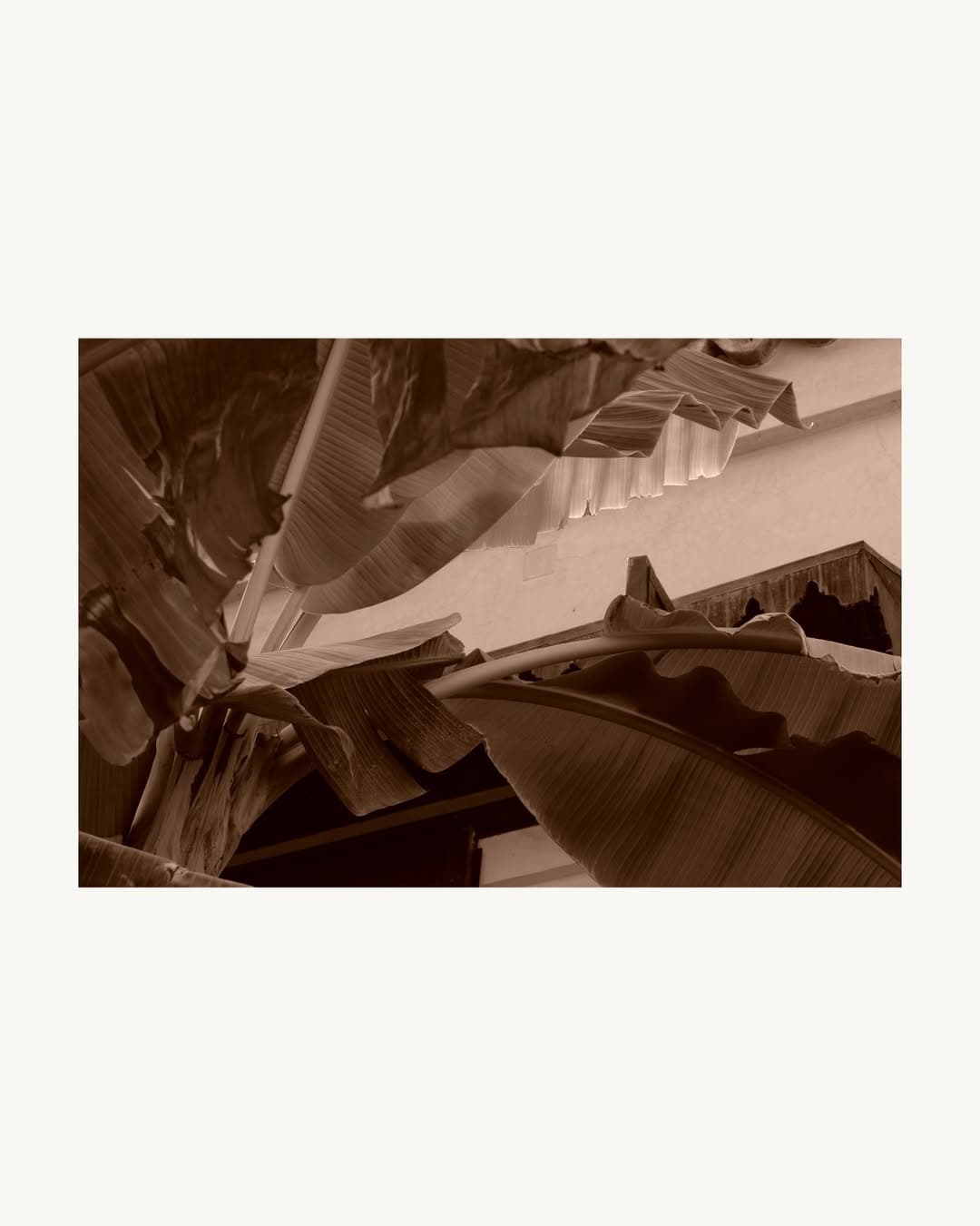 Instagram image