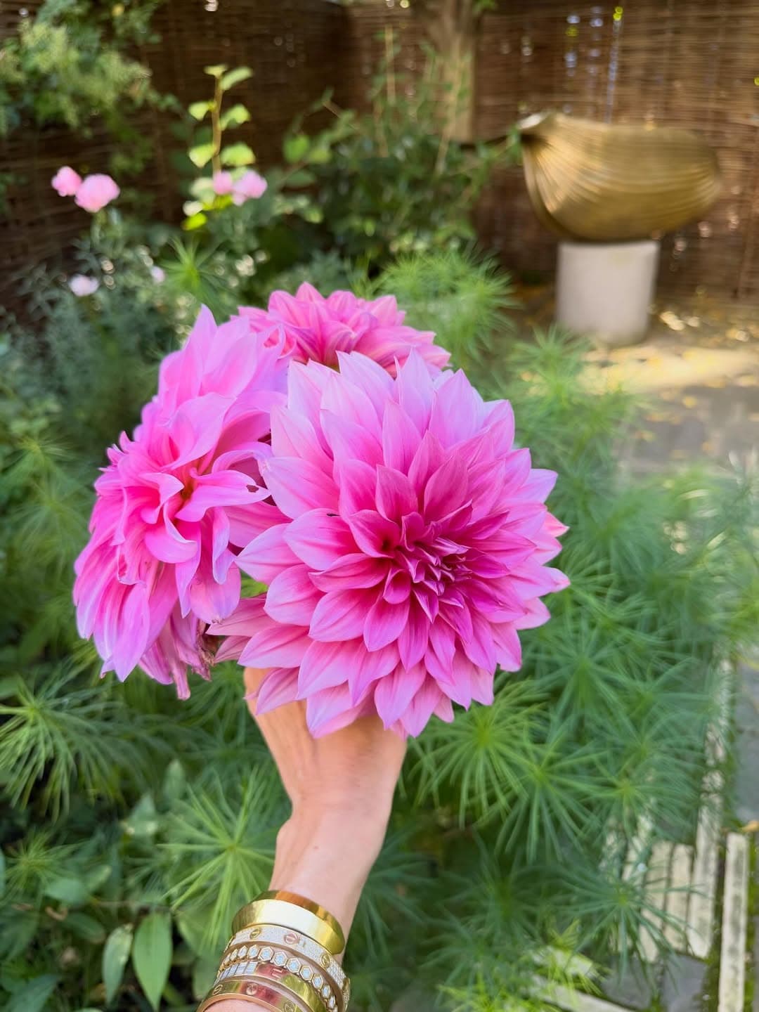 Instagram image