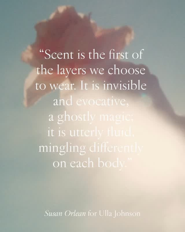 Instagram image