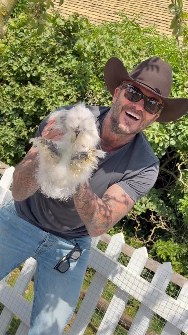 Instagram image