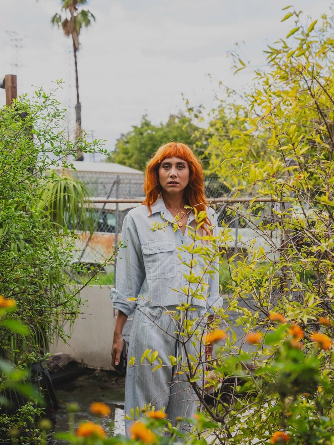Instagram image