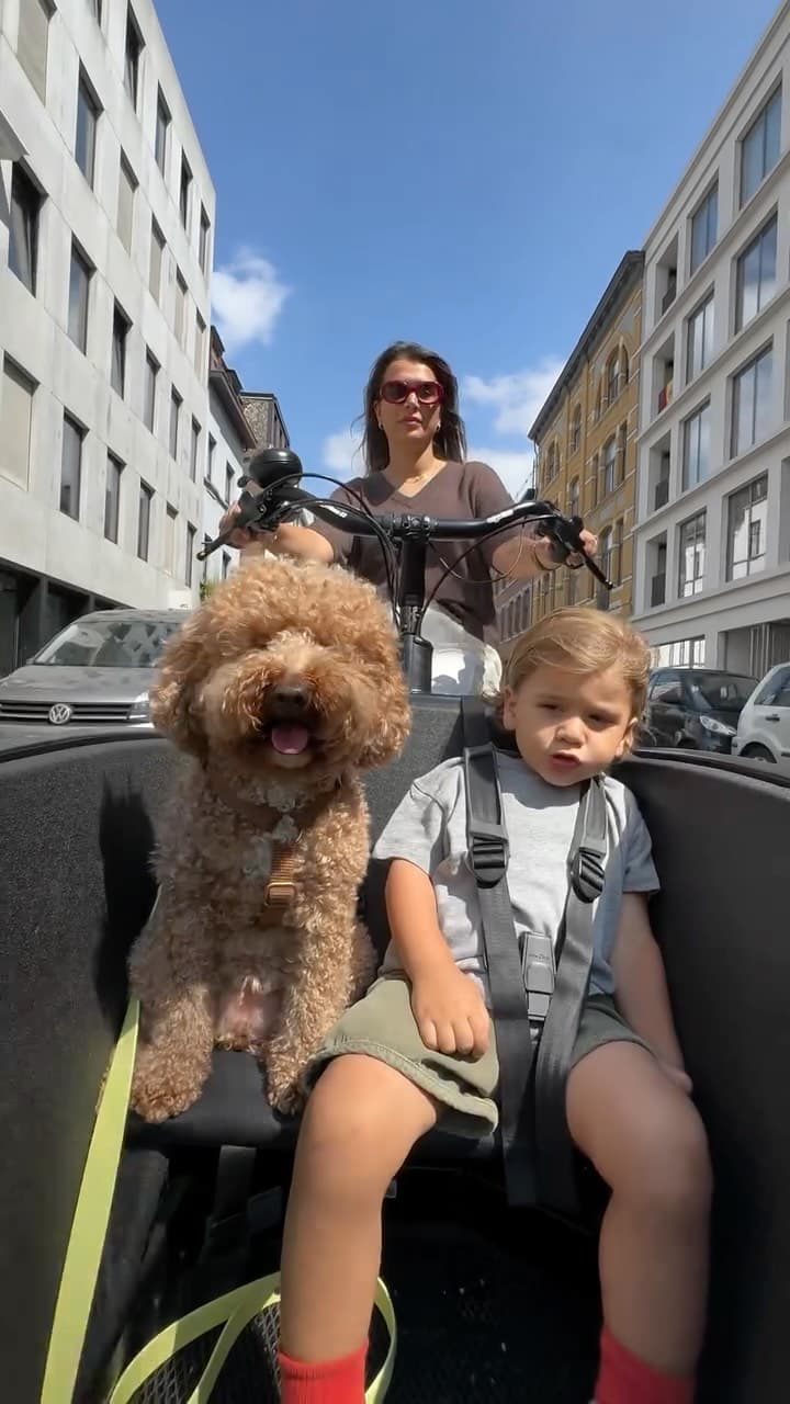 Instagram image