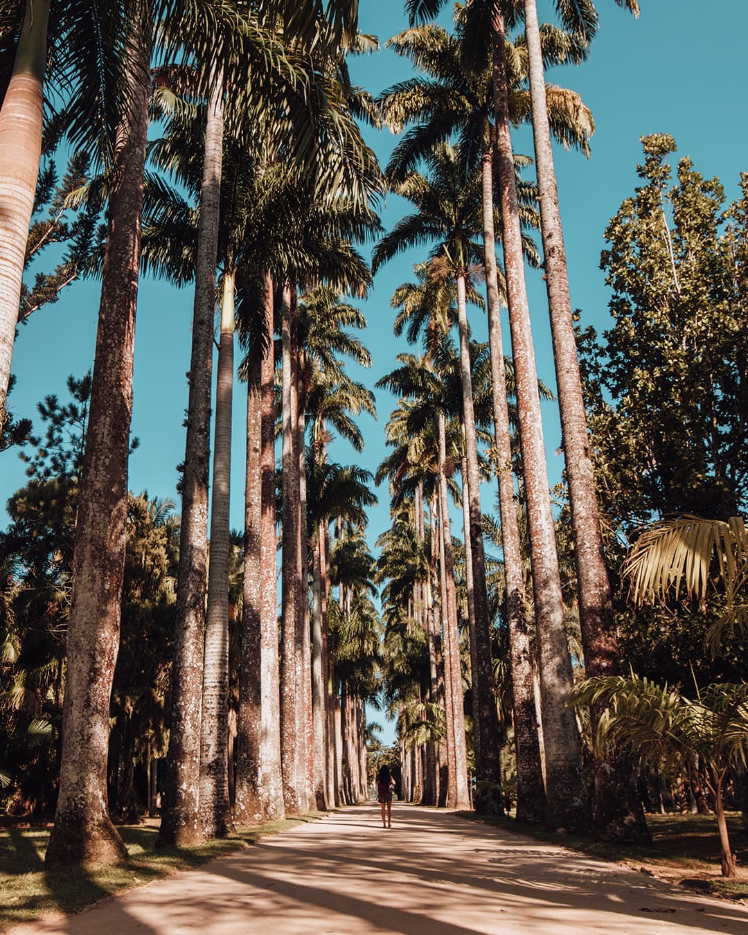 Instagram image
