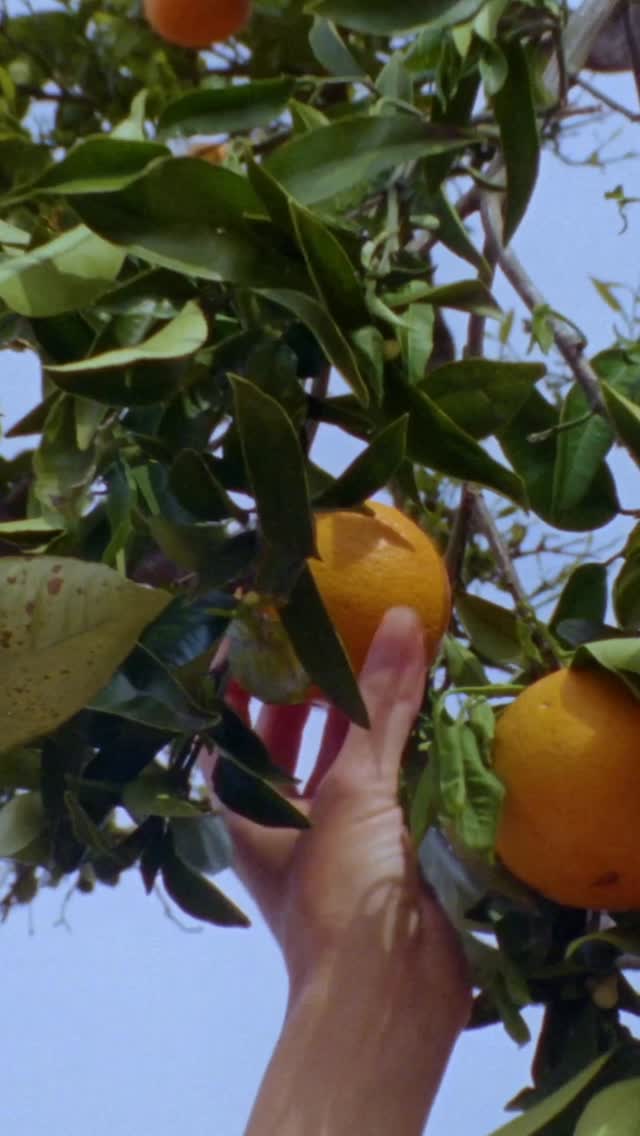 Instagram image