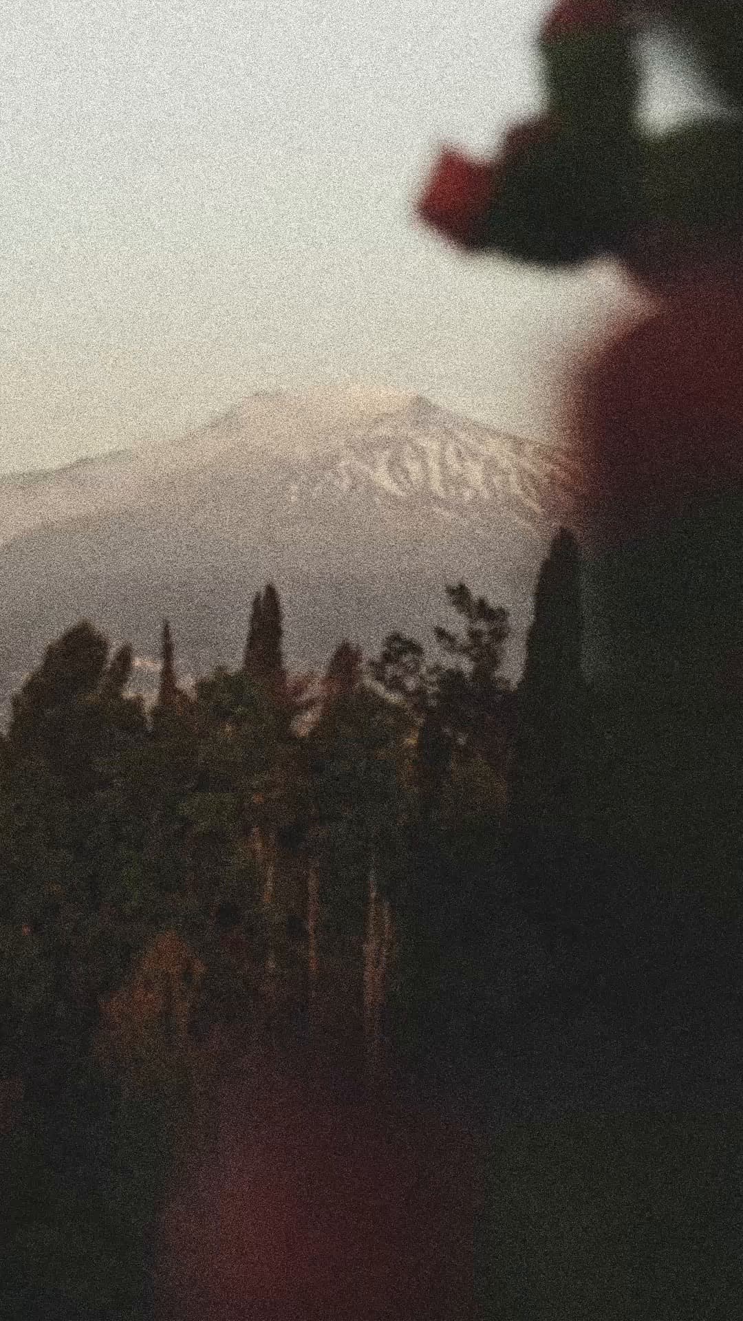 Instagram image