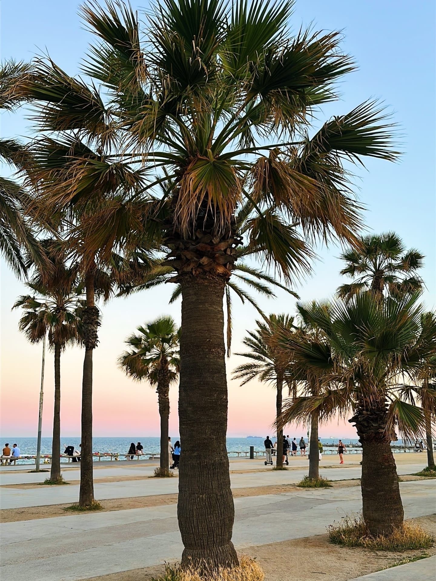 Instagram image