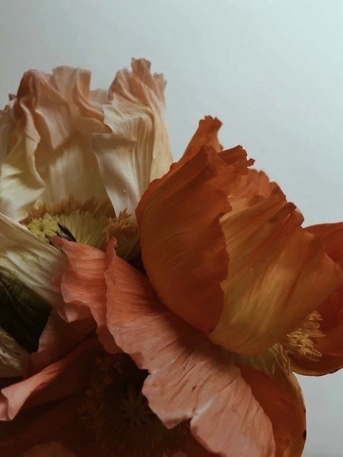 Instagram image