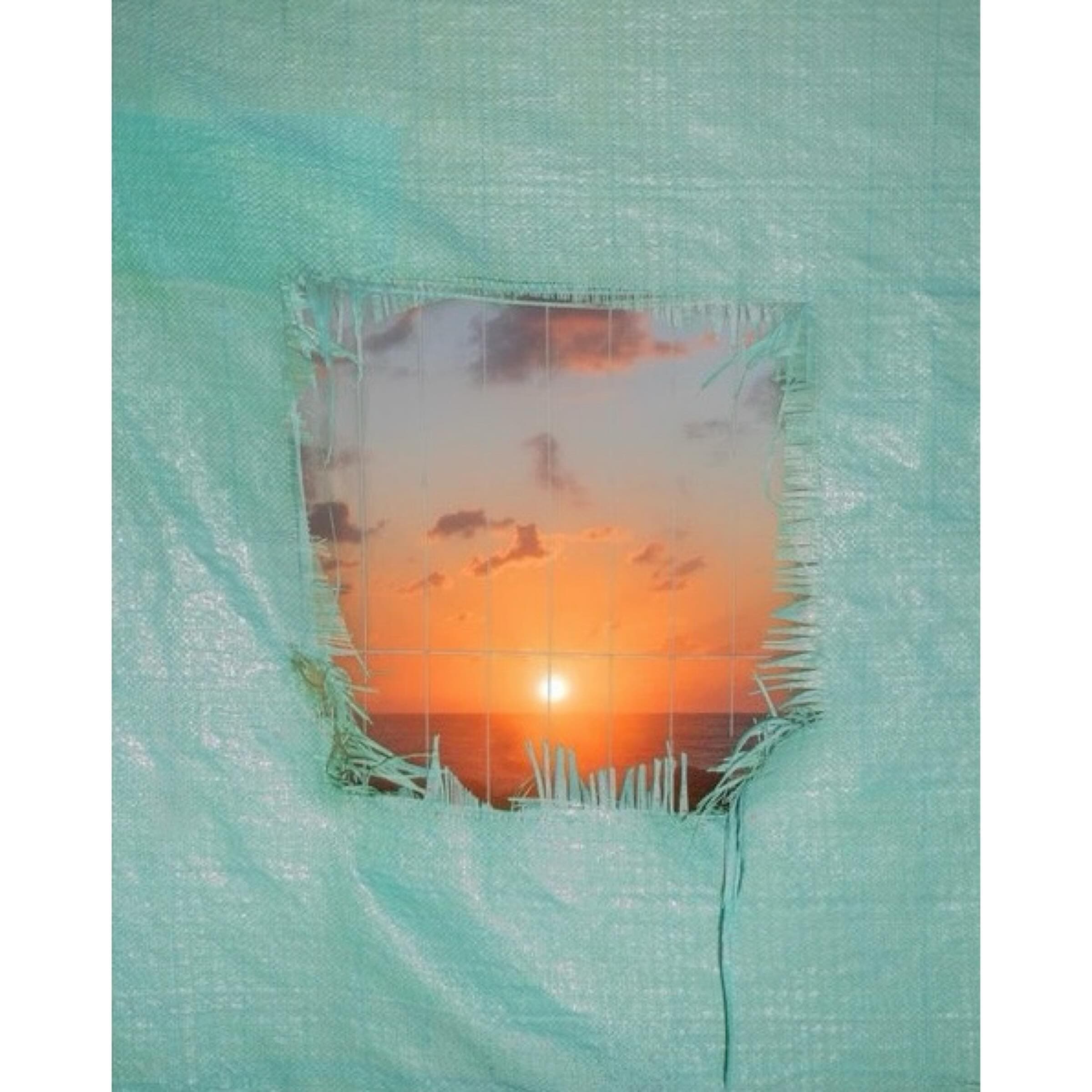 Instagram image
