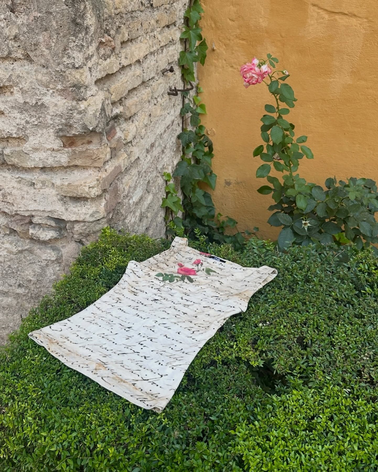 Instagram image