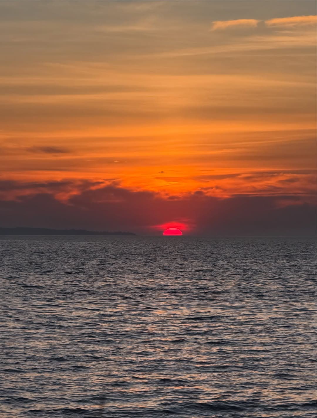 Instagram image